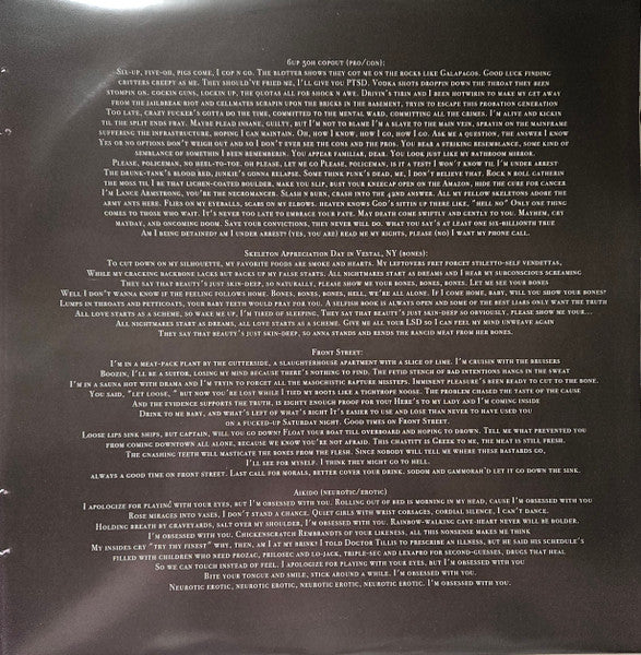Everything is a Lot (2015 Mix VINYL) | - ALT/INDIE *SEALED*