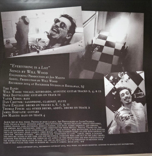 Everything is a Lot (2015 Mix VINYL) | - ALT/INDIE *SEALED*