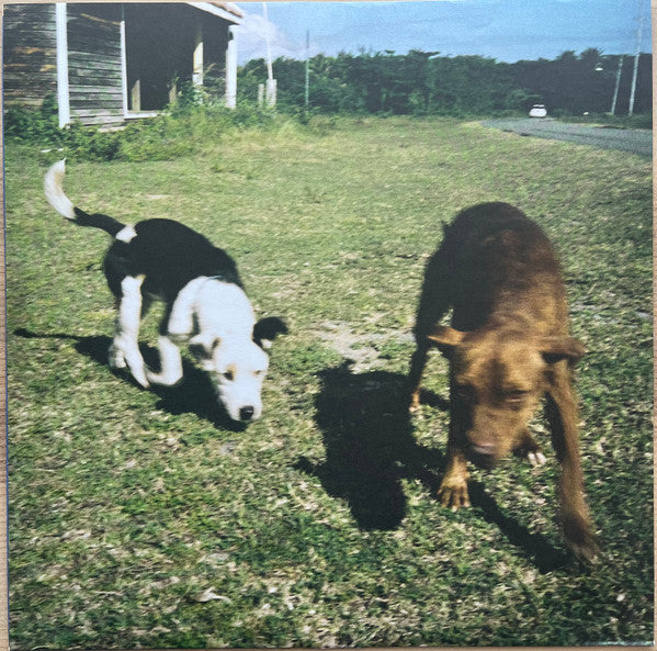 Dogs On Acid (COLOR VINYL) | Mint (M) Mint (M) - ALT/INDIE *SEALED*