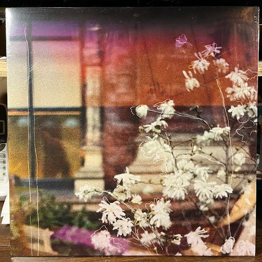 A Place You Grew Up In (VINYL) | Mint (M) Mint (M) - ALT/INDIE *SEALED*