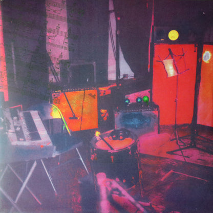 Painful (VINYL) | Mint (M) Mint (M) - ALT/INDIE *SEALED*