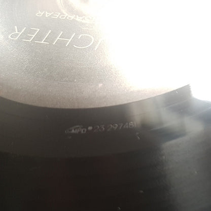 Not To Disappear (VINYL) | Mint (M) Mint (M) - ALT/INDIE *SEALED*