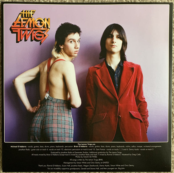 Do Hollywood (VINYL) | Mint (M) Mint (M) - ALT/INDIE *SEALED*