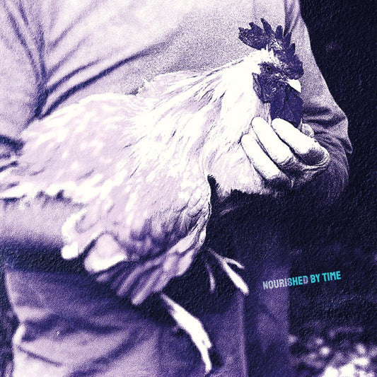 Catching Chickens | Mint (M) Mint (M) - ALT/INDIE *SEALED*
