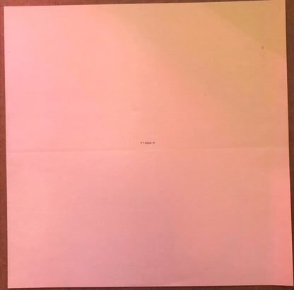 The Devil And God Are Raging Inside Me | Mint (M) Mint (M) - ALT/INDIE *SEALED*