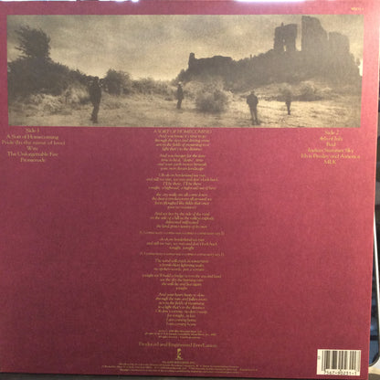 The Unforgettable Fire (VINYL) | Excellent (EX) Near Mint (NM) - ALT/INDIE / USED *EXCELLENT*