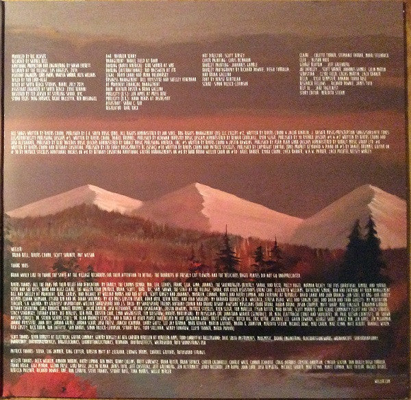 Everything Will Be Alright In The End (VINYL) | Near Mint- (NM-) Near Mint- (NM-) - ALT/INDIE / USED *NEAR MINT-*