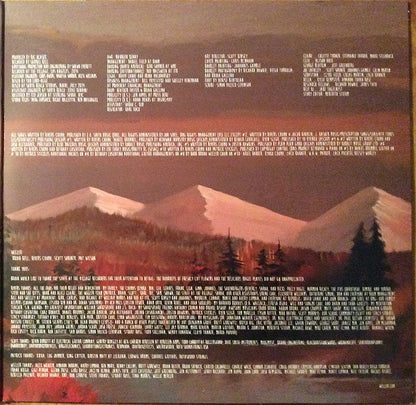 Everything Will Be Alright In The End (VINYL) | Near Mint- (NM-) Near Mint- (NM-) - ALT/INDIE / USED *NEAR MINT-*