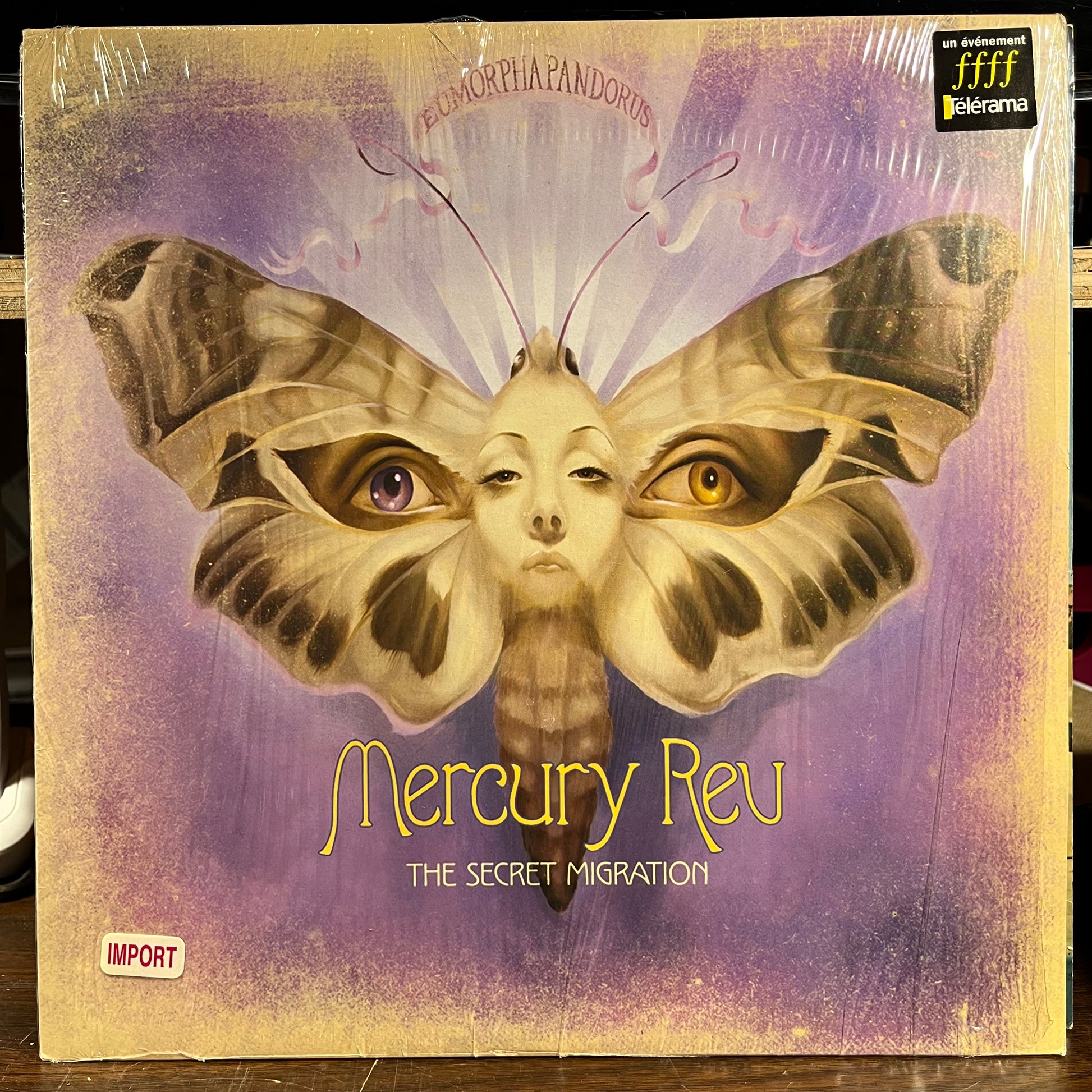 The Secret Migration (VINYL) | Near Mint- (NM-) Near Mint (NM) - ALT/INDIE / USED *NEAR MINT-*