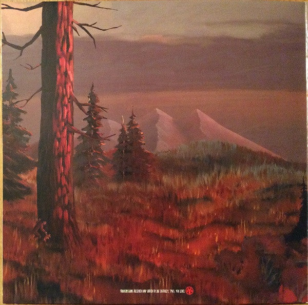 Everything Will Be Alright In The End (VINYL) | Near Mint- (NM-) Near Mint- (NM-) - ALT/INDIE / USED *NEAR MINT-*