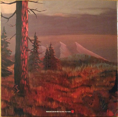 Everything Will Be Alright In The End (VINYL) | Near Mint- (NM-) Near Mint- (NM-) - ALT/INDIE / USED *NEAR MINT-*