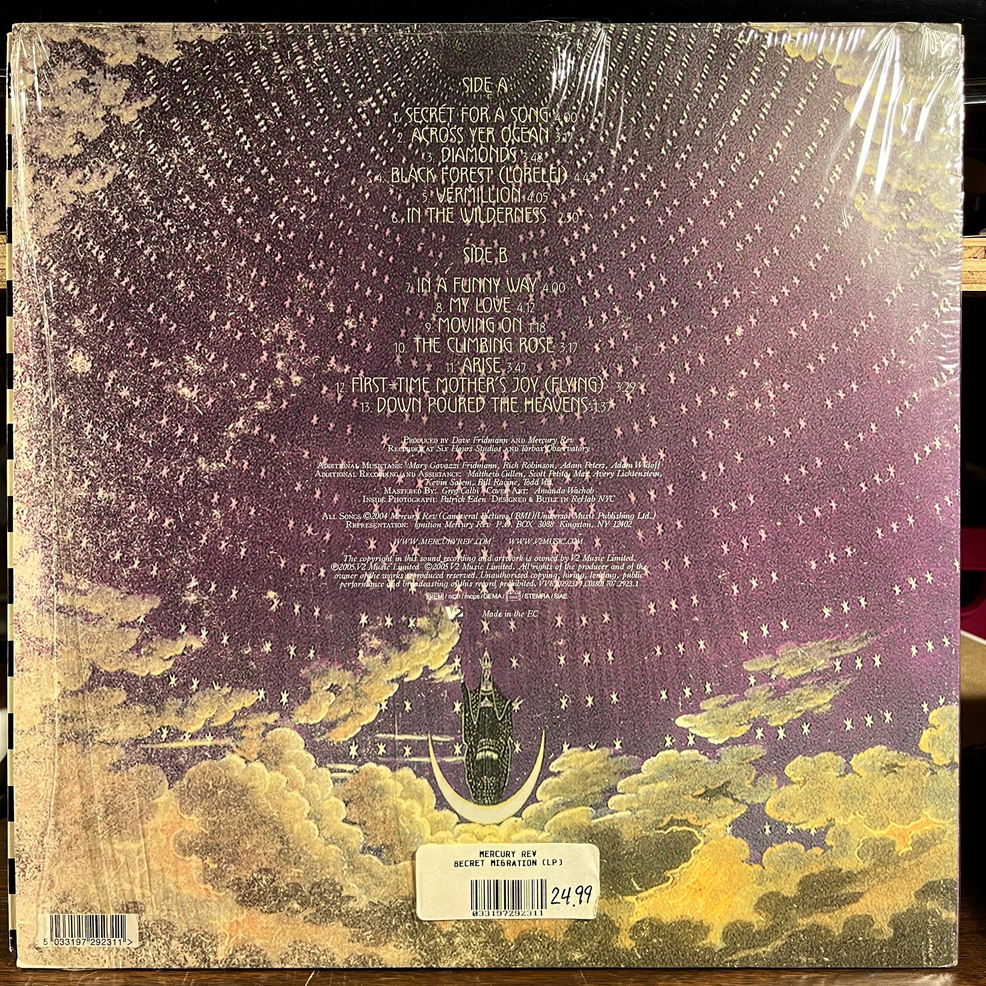 The Secret Migration (VINYL) | Near Mint- (NM-) Near Mint (NM) - ALT/INDIE / USED *NEAR MINT-*