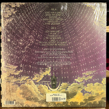 The Secret Migration (VINYL) | Near Mint- (NM-) Near Mint (NM) - ALT/INDIE / USED *NEAR MINT-*
