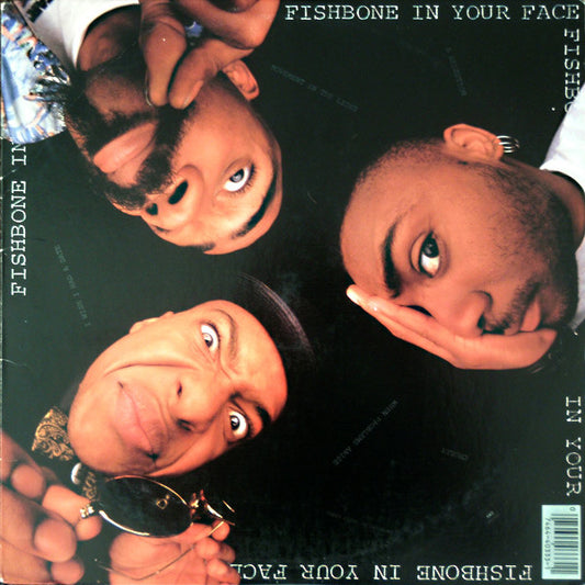 In Your Face | Near Mint (NM) Near Mint (NM) - ALT/INDIE / USED *NEAR MINT*