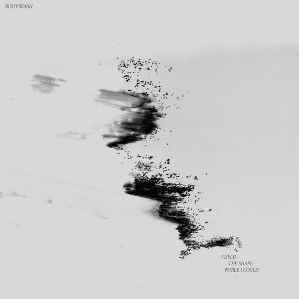 I Held The Shape While I Could (VINYL) | Near Mint (NM) Near Mint (NM) - ALT/INDIE / USED *NEAR MINT*