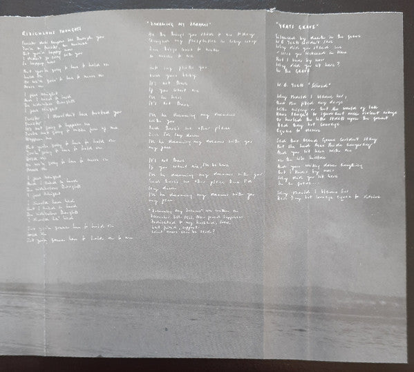The Cranberries - No Need To Argue *CASSETTE* | Near Mint (NM) Excellent (EX) - ALT/INDIE / USED *NEAR MINT*
