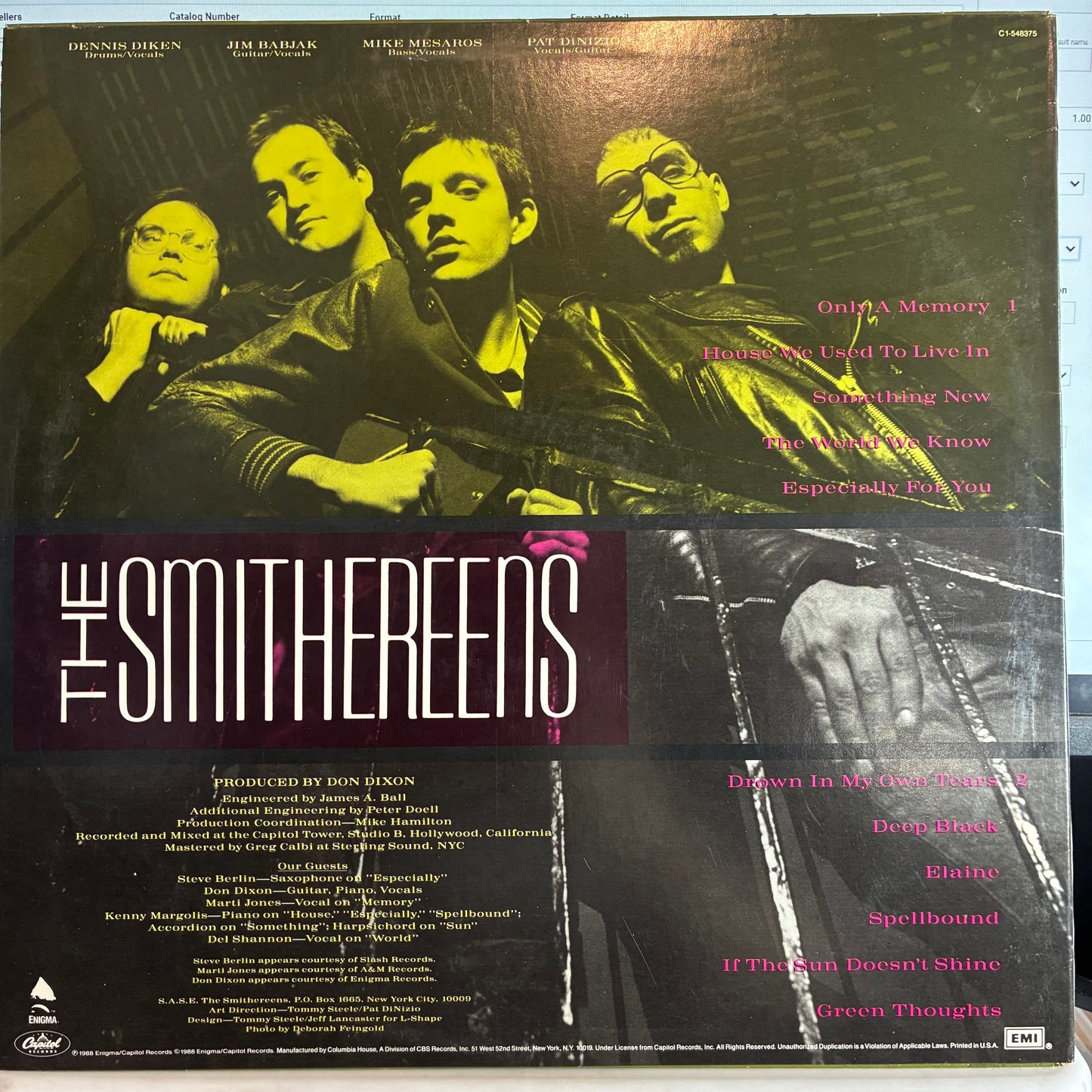 The Smithereens - Green Thoughts (VINYL) | - ALT/INDIE / USED *NEAR MINT*