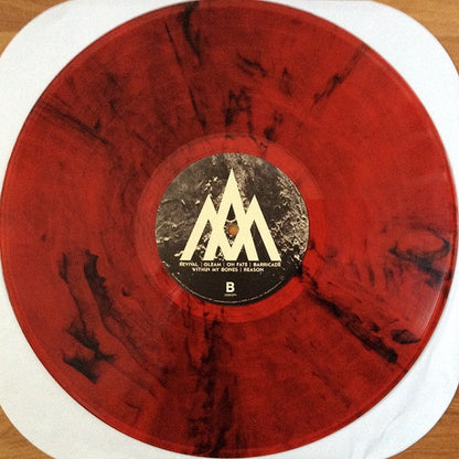 Monuments (VINYL) | Near Mint (NM) Near Mint (NM) - ALT/INDIE / USED *NEAR MINT*