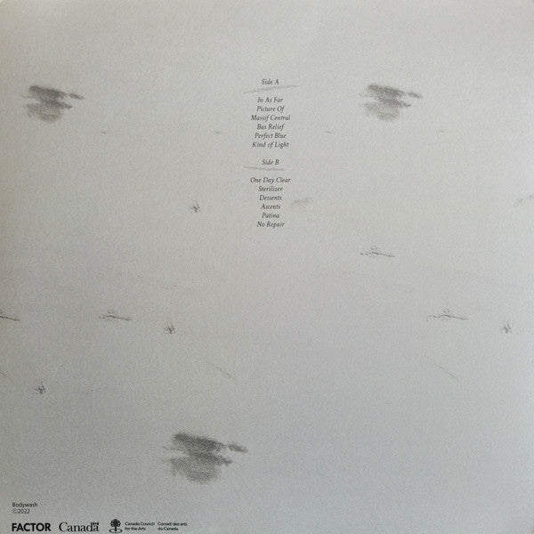 I Held The Shape While I Could (VINYL) | Near Mint (NM) Near Mint (NM) - ALT/INDIE / USED *NEAR MINT*