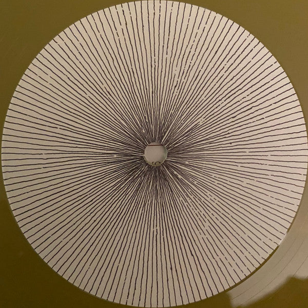 Cassadaga (A Companion) | Mint (M) Mint (M) - ALT/INDIE