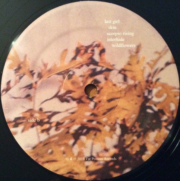 Clean (VINYL) | Near Mint (NM) Very Good Plus Plus (VG++) - ALT/INDIE / USED *NEAR MINT*