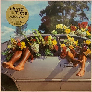 Hang Time (VINYL) | Near Mint (NM) Near Mint (NM) - ALT/INDIE / USED *NEAR MINT*