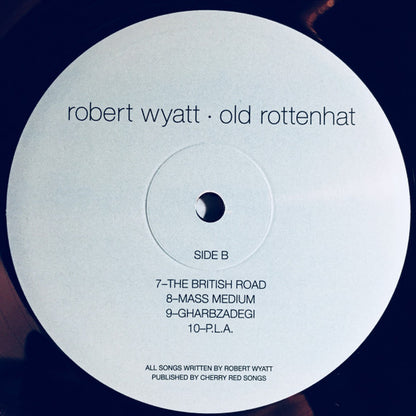 Old Rottenhat (VINYL+CD) | Near Mint (NM) Near Mint (NM) - ALT/INDIE / USED *NEAR MINT*