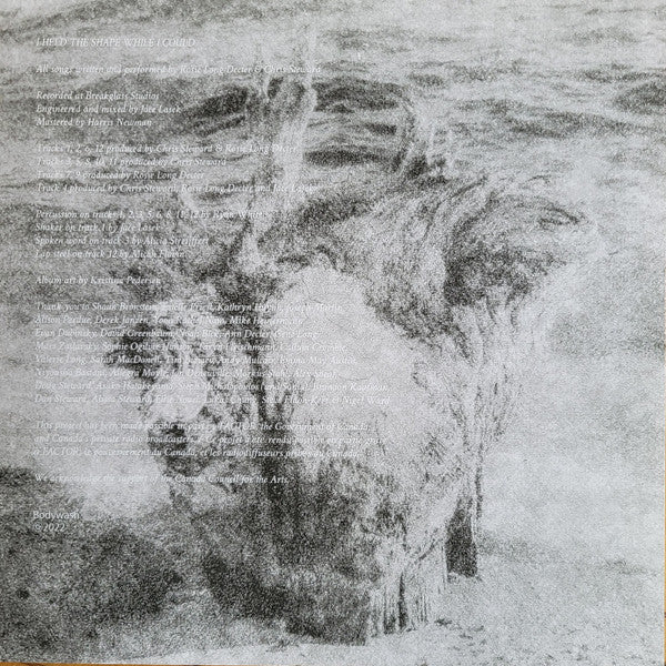 I Held The Shape While I Could (VINYL) | Near Mint (NM) Near Mint (NM) - ALT/INDIE / USED *NEAR MINT*