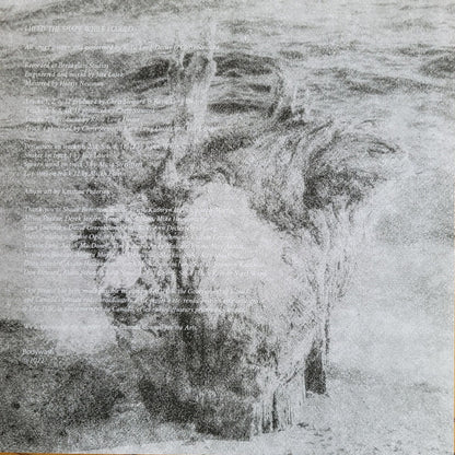 I Held The Shape While I Could (VINYL) | Near Mint (NM) Near Mint (NM) - ALT/INDIE / USED *NEAR MINT*