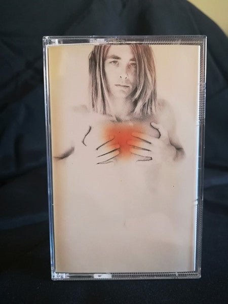 Francis Dunnery - Fearless *CASSETTE* | Near Mint (NM) Near Mint (NM) - ALT/INDIE / USED *NEAR MINT*