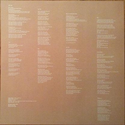 Clean (VINYL) | Near Mint (NM) Very Good Plus Plus (VG++) - ALT/INDIE / USED *NEAR MINT*