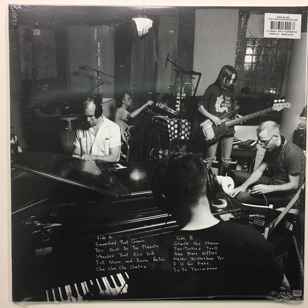 He's Got The Whole This Land Is Your Land In His Hands (VINYL) | Near Mint (NM) Near Mint (NM) - ALT/INDIE / USED *NEAR MINT*