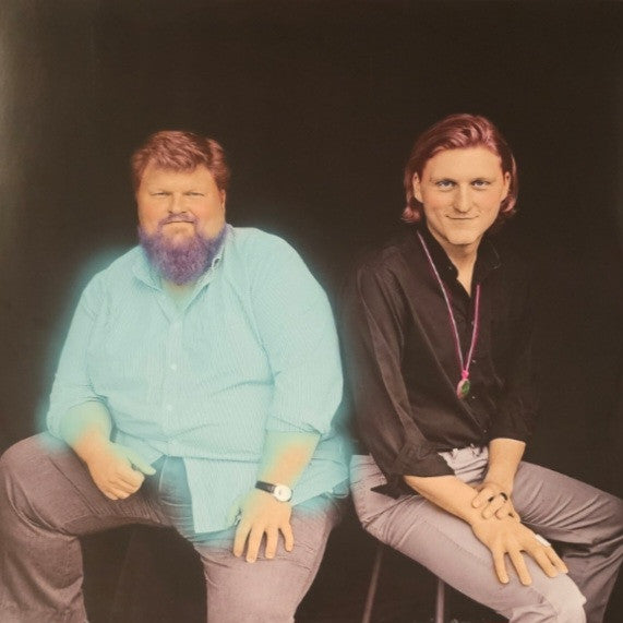 Popular Cycles (VINYL) | Near Mint (NM) Near Mint (NM) - ALT/INDIE / USED *NEAR MINT*