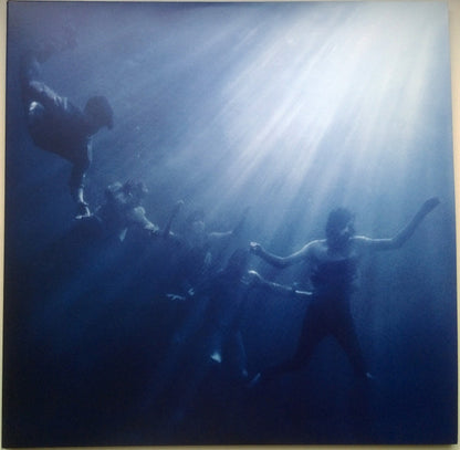Foals - Total Life Forever (VINYL 2xLP TRANSGRESSIVE SP-875 2010) | Near Mint (NM or M-) Near Mint (NM) - ALT/INDIE / USED *NEAR MINT*