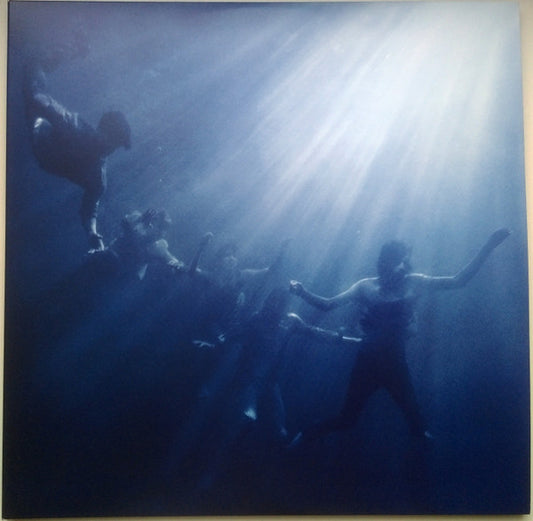 Foals - Total Life Forever (VINYL 2xLP TRANSGRESSIVE SP-875 2010) | Near Mint (NM or M-) Near Mint (NM) - ALT/INDIE / USED *NEAR MINT*