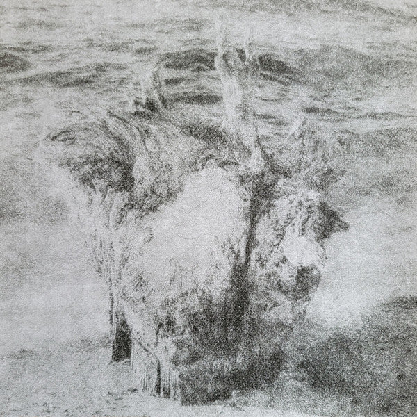 I Held The Shape While I Could (VINYL) | Near Mint (NM) Near Mint (NM) - ALT/INDIE / USED *NEAR MINT*