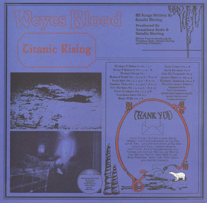 Titanic Rising (VINYL) | Near Mint (NM) Near Mint (NM) - ALT/INDIE / USED *NEAR MINT*