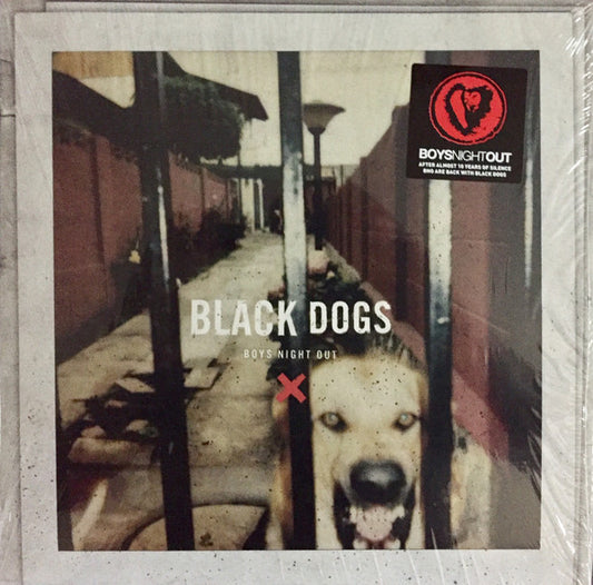 Black Dogs (CLEAR 10" VINYL) | Near Mint (NM or M-) Mint (M) - ALT/INDIE / USED *NEAR MINT*