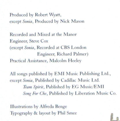 Ruth Is Stranger Than Richard (VINYL+CD) | Near Mint (NM) Near Mint (NM) - ALT/INDIE / USED *NEAR MINT*