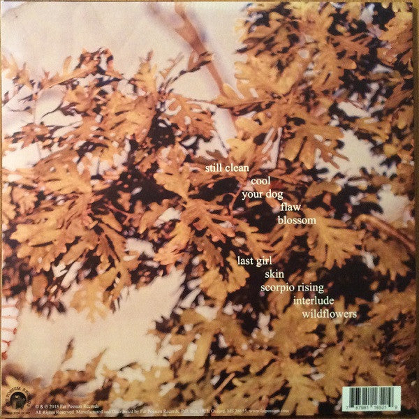 Clean (VINYL) | Near Mint (NM) Very Good Plus Plus (VG++) - ALT/INDIE / USED *NEAR MINT*