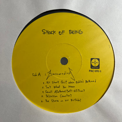 Shock Of Being (VINYL) | Near Mint (NM) Near Mint (NM) - ALT/INDIE / USED *NEAR MINT*