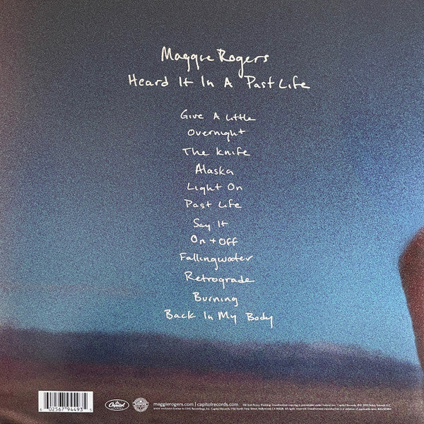 Heard It In A Past Life (VINYL) | Near Mint (NM) Near Mint (NM) - ALT/INDIE / USED *NEAR MINT*