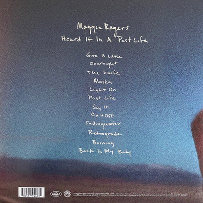 Heard It In A Past Life (VINYL) | Near Mint (NM) Near Mint (NM) - ALT/INDIE / USED *NEAR MINT*