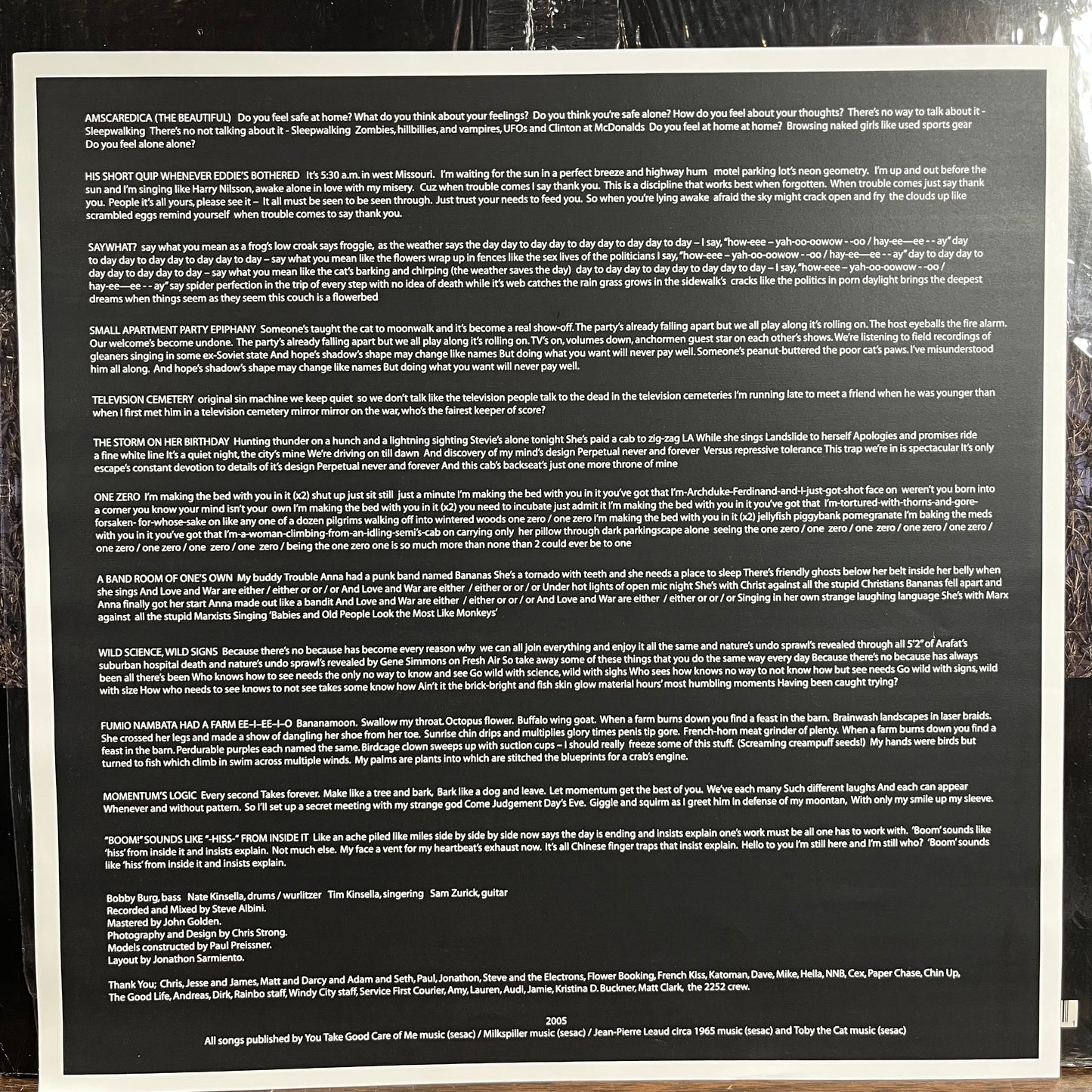 Shock Of Being (VINYL) | Near Mint (NM) Near Mint (NM) - ALT/INDIE / USED *NEAR MINT*