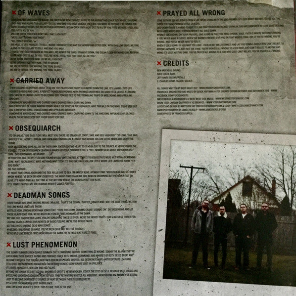Black Dogs (CLEAR 10" VINYL) | Near Mint (NM or M-) Mint (M) - ALT/INDIE / USED *NEAR MINT*