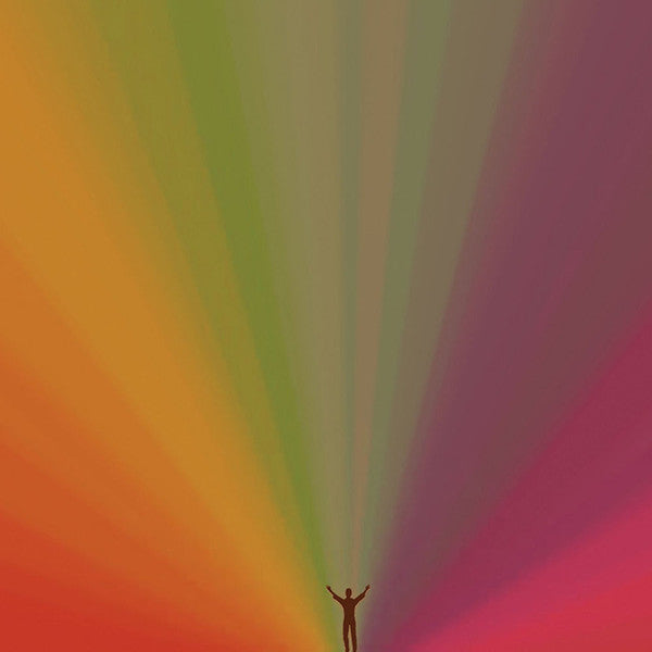Edward Sharpe And The Magnetic Zeros (VINYL) | Near Mint (NM) Near Mint (NM) - ALT/INDIE / USED *NEAR MINT*