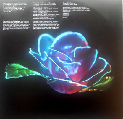 Depression Cherry (VINYL) | Near Mint (NM) Near Mint (NM) - ALT/INDIE / USED *NEAR MINT*