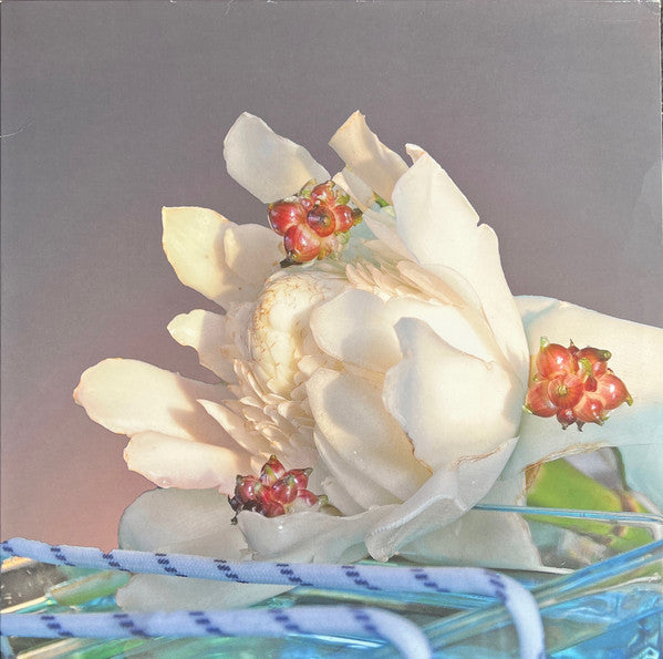 Patience Hell EP (VINYL) | Near Mint (NM) Near Mint (NM) - ALT/INDIE / USED *NEAR MINT*