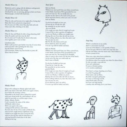 Ruth Is Stranger Than Richard (VINYL+CD) | Near Mint (NM) Near Mint (NM) - ALT/INDIE / USED *NEAR MINT*