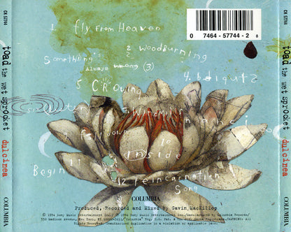 Dulcinea (CD) | Near Mint (NM) Near Mint (NM) - ALT/INDIE / USED *NEAR MINT*